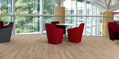 Vinylové podlahy Amtico First Bleached Elm