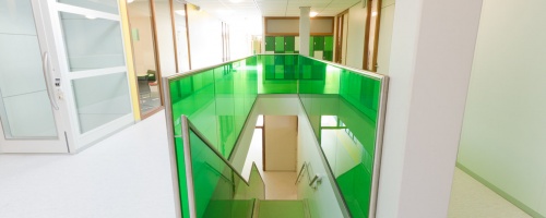DLW Flooring - škola